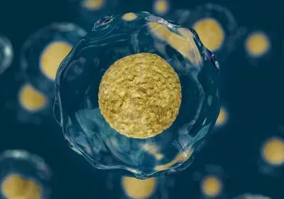 an illustration of a single cell with a backdrop of similar cells
